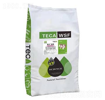 �n��-�D��-ͬ������