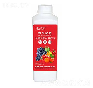 ����Ԫ��ˮ�ܷ���-�t��Ī��-Ħ�K����