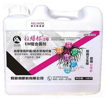 EM�ͺϾ���-������1̖-����ķ