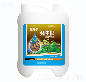 ħ����������-��������