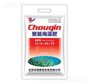 ����;��ܺ����12-6-40+TE-����