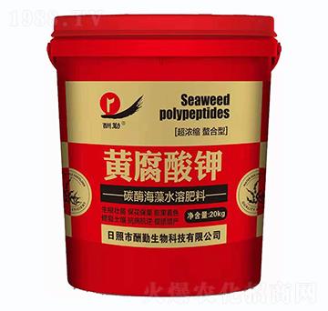 �S�����-����