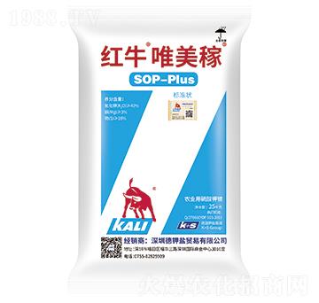 �tţΨ����-���·���