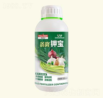 ��¡⛌�-���R��