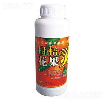 �̽ۻ����`-��ķ�r(n��ng)�I(y��)