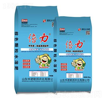 �ך��ء������S�����-����-ʥ�ϝ�(r��n)