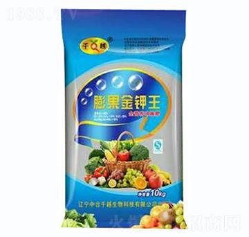 �����������{����-ǧԽ