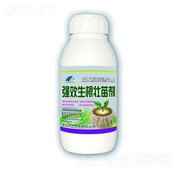 ��(qi��ng)���������焩-����ʘI(y��)