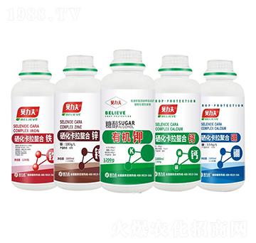 �����������Ϸ�ϵ��-��?t��ng)��S