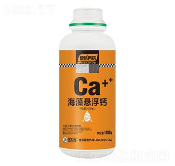 ����Ҹ��}-ؐ����-� ��S