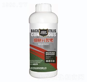 ����������-һ������