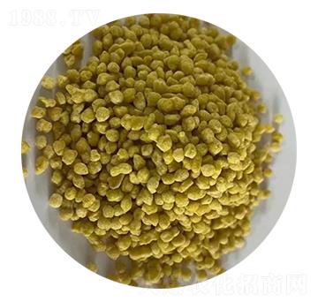 ���@�w�����Sɫ��-�ǈ�