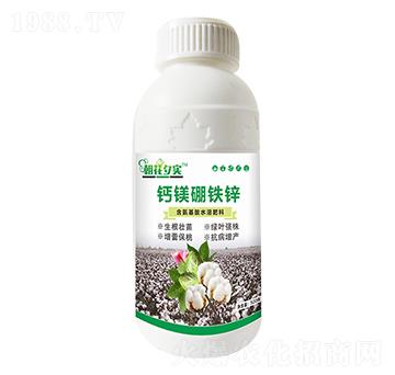 �}�V���F�\-����Ϧ��(sh��)-�����r(n��ng)�I(y��)