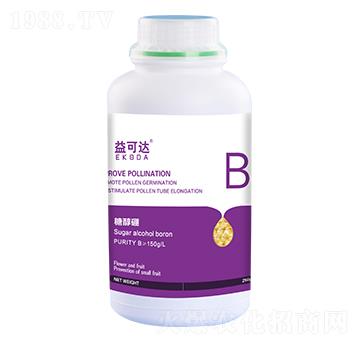 �Ǵ���-����_(d��)-�к̄���