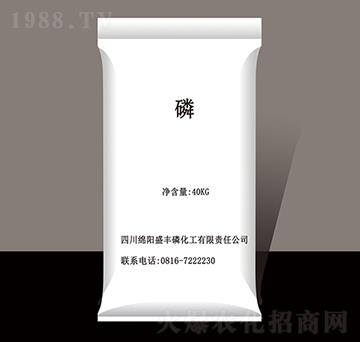 �׷�-ʢ�S�׻���