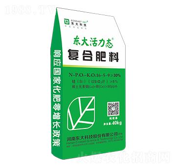 �ͺϷ���16-5-9-�|������B(t��i)-�|��Ƽ�