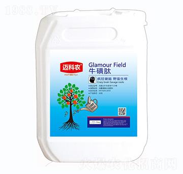 ������-�~���r(n��ng)-�Έ�����