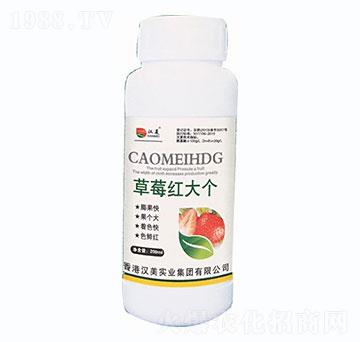 ��ݮ�t��(g��)-�h����(sh��)�I(y��)