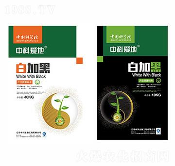 �пƐ۵ذ׼Ӻ�ϵ���ײͷ�-�п�