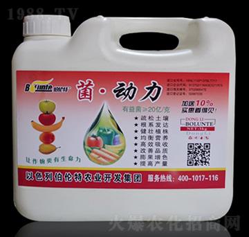 ����(d��ng)��-������