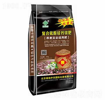 ��(f��)��������}�V��-�G�����r(n��ng)