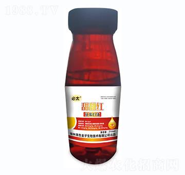 ����t-�~(y��)�����-��ɫ����