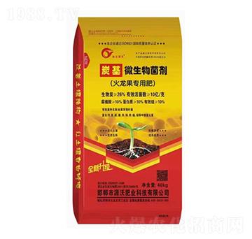 ��������(zhu��n)��̿��΢�������-���r(n��ng)�ʘI(y��)