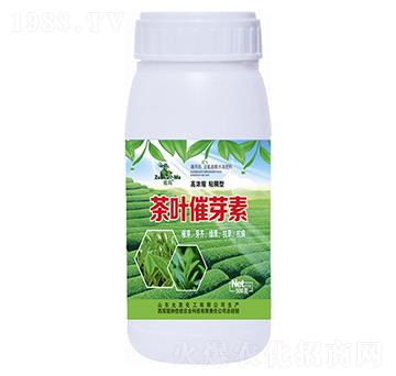 ���~��ѿ��-�欔-�ʰl(f��)����