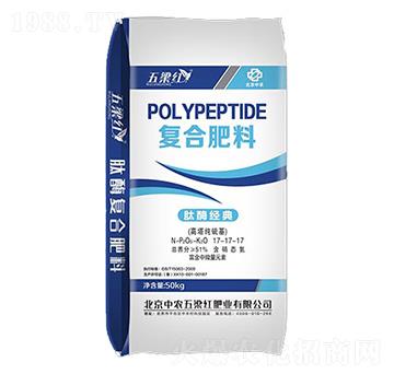 �ͺϷ���17-17-17-�����t