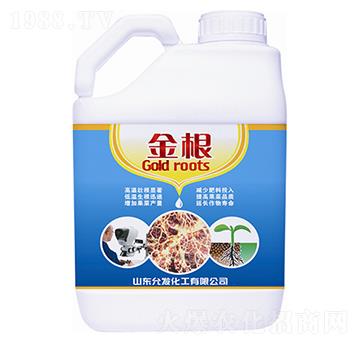 ���-�欔-�ʰl(f��)����