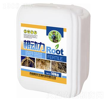 10kg����(d��ng)��-�欔-�ʰl(f��)����