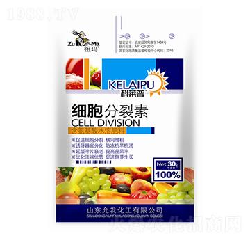 ���b����������-�欔-�ʰl(f��)����