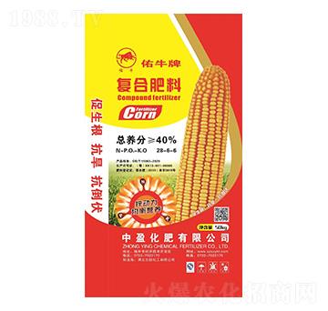 ��(f��)�Ϸ���28-6-6-��ţ��-��ӯ����