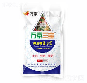 微生物復(fù)合菌-萬(wàn)豪三寶-萬(wàn)豪