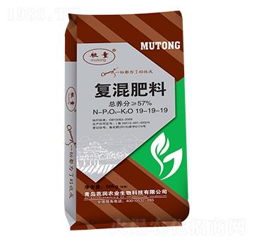 ��(f��)�����19-19-1