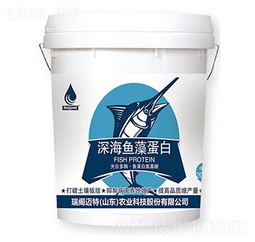 ��~�嵰��-���w�~��