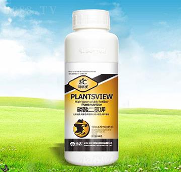 ��������-������