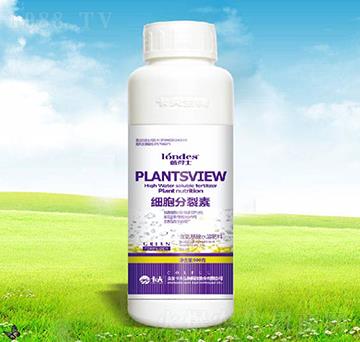 500�˼���������-������