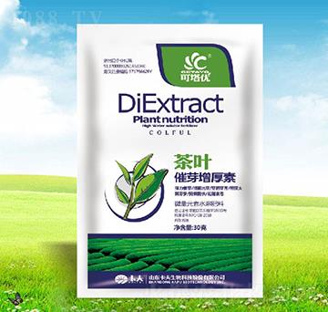 ���~��ѿ������-������(y��u)-������