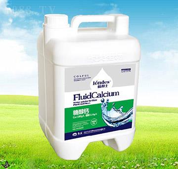 �{(l��n)��ʿ�Ǵ��}-����