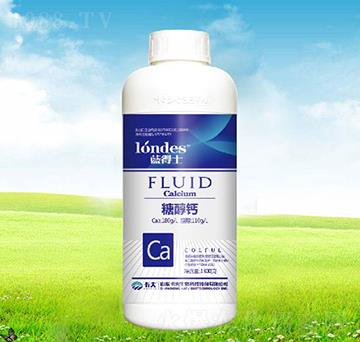 1300���{(l��n)��ʿ�Ǵ��}-����