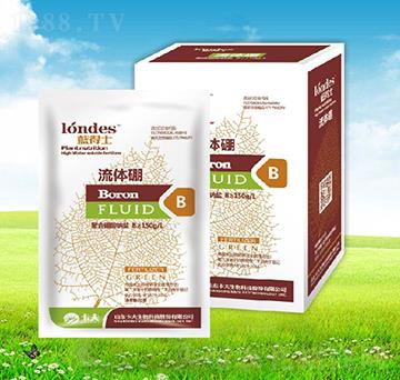 20���{(l��n)��ʿ���w��-����