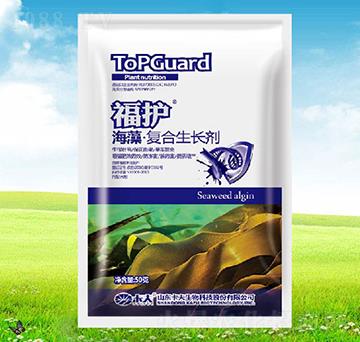 ����ͺ����L��-���o-����