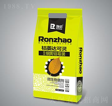 ��ή�_���`-�����r�I(y��)