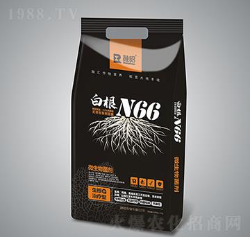 �׸�N66-�����r(n��ng)�I(y��)