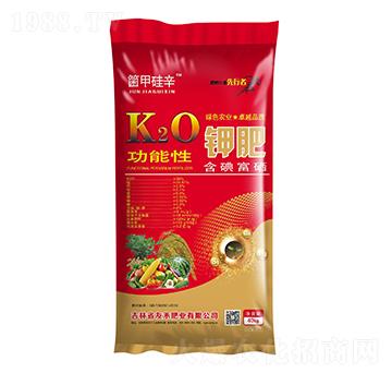 ������⛷�-���׹���-�Ѻ̷ʘI(y��)