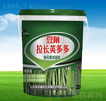 �������L�v���-�μѸ�