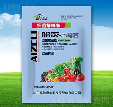 ���ġ�ľù��-��(x��)���ǰ߃�-�μѸ�