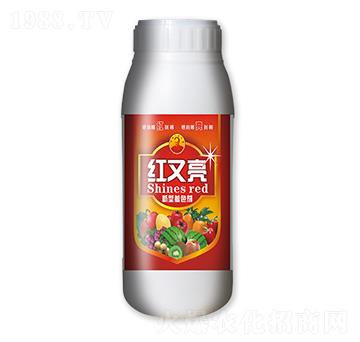 �t����������ɫ��-��������