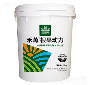 ���ۡ�������(d��ng)��-��������